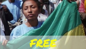 6 FREE Reeyot Alemu